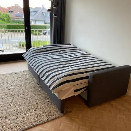 Apartment Shannon Odk