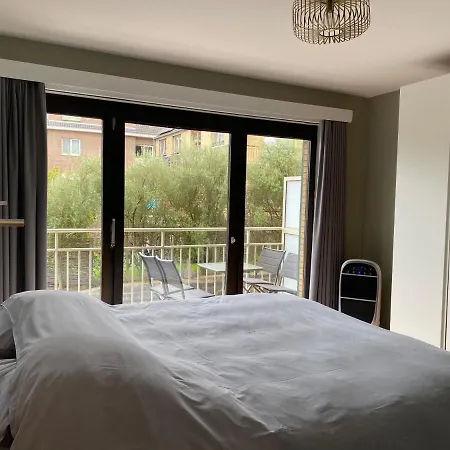 Apartment Shannon Odk